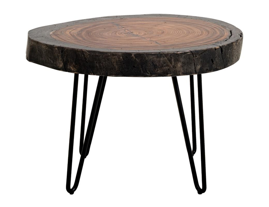 Set of 2 Parota Epoxy, Live Edge End Table