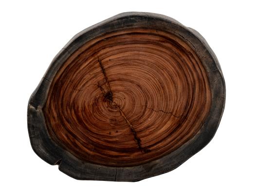 Set of 2 Parota Epoxy, Live Edge End Table