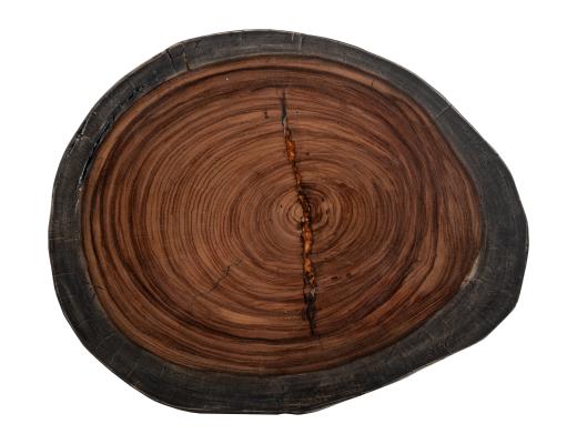 Set of 2 Parota Epoxy, Live Edge End Table