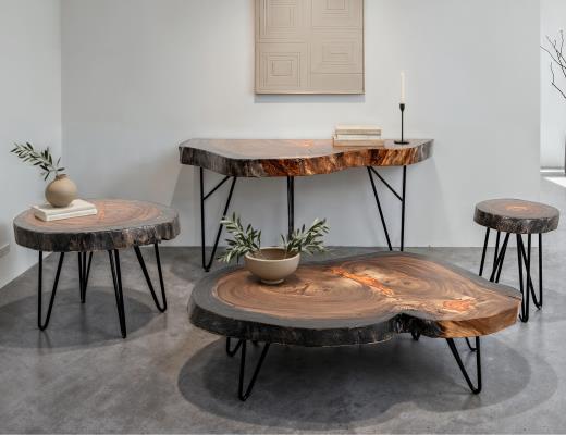 Parota Epoxy, Live Edge Sofa Table