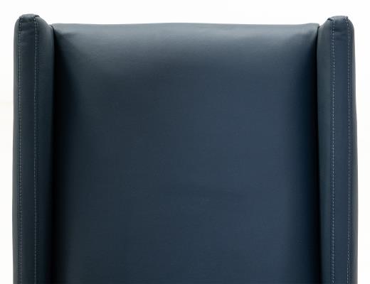 Set of 2 Forge, Upholstered Chair (100% Leather)