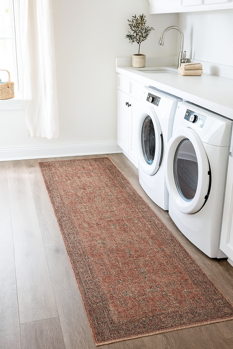 Ushak Collection Area Rug Ultra Soft Washable Rug, Non Slip Area Rug Indoor, Stain Resistant Rugs for Living Room Bedroom Vintage Home Decor