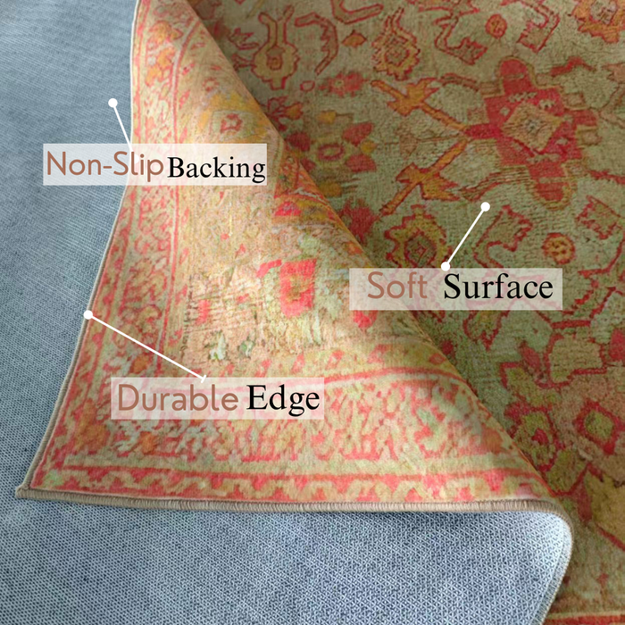 Ushak Collection Area Rug Ultra Soft Washable Rug, Non Slip Area Rug Indoor, Stain Resistant Rugs for Living Room Bedroom Vintage Home Decor