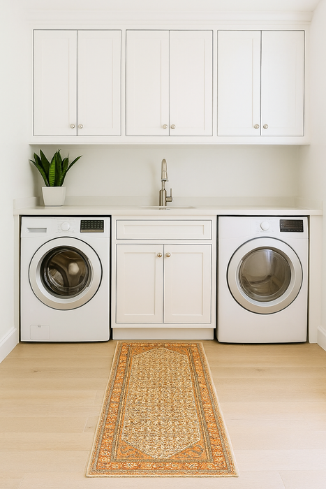 Serapi Collection Area Rug Ultra Soft Washable Rug, Non Slip Area Rug Indoor, Stain Resistant Rugs for Living Room Bedroom Vintage Home Decor