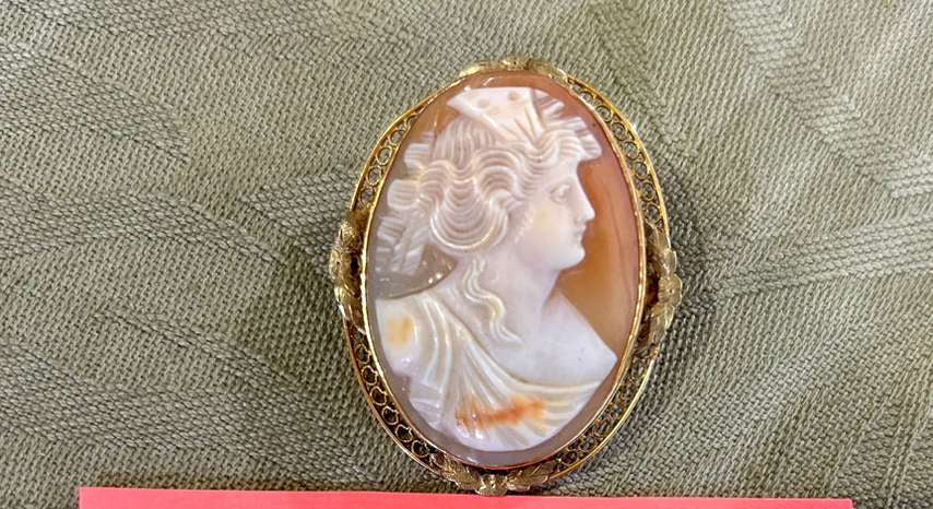 10KY Shell Cameo