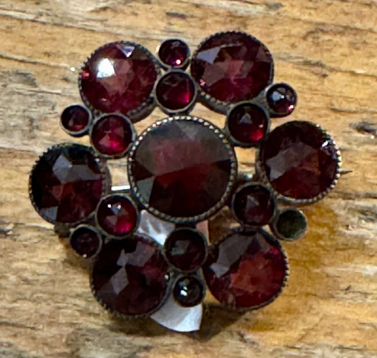 Flower garnet Pin