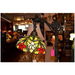 Tiffany style Stained glass Bridge Lamp / Reading Lamp DYL10-21BR - Crafters and Weavers