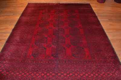 rug2754 size 6.8 x 8.10 Tribal Afghan Rug - Crafters and Weavers