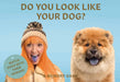 DO YOU LOOK LIKE YOUR DOG? - Crafters and Weavers